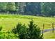 Horses graze peacefully in a fenced pasture surrounded by verdant trees at 65 Maude White Rd, Kingston, GA 30145