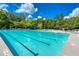 Large community swimming pool with lounge chairs and umbrellas for a resort-style experience at 637 Little Bear Loop, Canton, GA 30114
