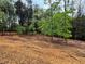 Wood chips cover the ground under a canopy of green trees in the backyard at 16 Mountain Creek Ne Trl, Fairmount, GA 30139