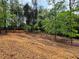 Natural landscaped backyard area with various trees and organic mulch covering the ground at 16 Mountain Creek Ne Trl, Fairmount, GA 30139