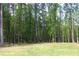 View of a green and spacious backyard, bordered by tall, mature trees at 349 Harris Loop, Dallas, GA 30157