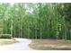 Lush property with mature trees and a circular driveway leading to the house at 349 Harris Loop, Dallas, GA 30157