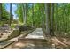 Secluded bocce court nestled among mature trees, offering a peaceful retreat for recreation and leisure at 5885 Wild Azalea Cv, Sugar Hill, GA 30518