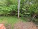 A view of lush green backyard with mature trees and ground cover, as seen from the home's deck at 2429 Sherbrooke Ne Ct, Atlanta, GA 30345