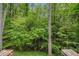 A view from the deck to the lush green backyard with mature trees and ground cover at 2429 Sherbrooke Ne Ct, Atlanta, GA 30345