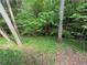 A view of the green ground cover and mature trees in the home's backyard at 2429 Sherbrooke Ne Ct, Atlanta, GA 30345