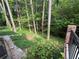 Stairs lead down from the back deck to a backyard with mature trees and green ground cover at 2429 Sherbrooke Ne Ct, Atlanta, GA 30345