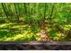 View of a spacious, grassy backyard surrounded by tall trees and a wooden fence at 3925 Rock Mill Pkwy, Marietta, GA 30062