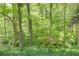 Wooded backyard featuring mature trees and natural vegetation at 3990 Admiral Dr, Chamblee, GA 30341