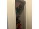 Organized closet with shelving, providing ample storage space at 82 Hinton Farm Way, Dacula, GA 30019