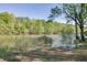 Beautiful lake view with lush green trees and vegetation; serene and natural setting at 2930 Aquitania Ln, Cumming, GA 30040