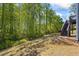 Backyard featuring lush greenery, expansive lawn, and wooden stairs to deck at 312 Wichita Way, Mcdonough, GA 30253