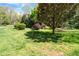 Well-maintained front yard with lush green grass, mature trees, and landscaping at 4423 Windsor Oaks Cir, Marietta, GA 30066