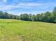 Sweeping grassy field with mature trees, providing a peaceful and picturesque outdoor setting at 1025 Rocky Plains Rd, Covington, GA 30016