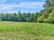 Lush grassy field framed by verdant trees, showcasing a beautiful and tranquil natural landscape at 1025 Rocky Plains Rd, Covington, GA 30016