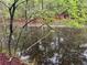 Picturesque pond surrounded by lush greenery, creating a tranquil and inviting natural setting at 1025 Rocky Plains Rd, Covington, GA 30016