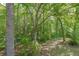 Lush backyard featuring mature trees and greenery providing a serene and private setting at 1354 Benbrooke Nw Ln, Acworth, GA 30101