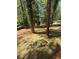 Newly sodded backyard featuring mature trees, landscaping, and irrigation system at 3089 Corbin Ave, Decatur, GA 30034