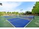 Outdoor pickleball courts surrounded by trees offer a fun recreational space for active residents at 4970 Roseman Trl, Cumming, GA 30040