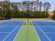Picture of community tennis courts surrounded by mature trees at 36 Evergreen Way, Dallas, GA 30157