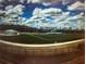Well-maintained athletic sports field, ready for competition under stadium lighting at 6935 Melody Ridge Rd, Buford, GA 30518