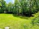 Expansive green lawn with lush trees and foliage at 880 Havenridge Dr, Conyers, GA 30094