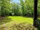 Expansive backyard with lush green lawn, perfect for outdoor activities or relaxation in a serene setting at 880 Havenridge Dr, Conyers, GA 30094