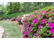 Landscaped garden featuring vibrant azaleas and manicured lawns at 176 Nightwind Trce, Acworth, GA 30101