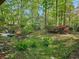 Large backyard featuring mature trees, a small brick planter, and a peaceful patio seating area at 2735 Shetland Dr, Decatur, GA 30033