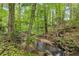 Lush backyard featuring a serene creek, surrounded by mature trees at 1725 Timberland Ne Rd, Atlanta, GA 30345