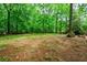 Large, grassy backyard surrounded by mature trees, offering a private and serene outdoor space at 2840 Wendy Ln, Marietta, GA 30062
