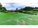 A picturesque pond surrounded by lush greenery and mature trees, creating a serene and peaceful environment at 319 Franklin Ln, Acworth, GA 30102