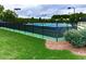 Enjoy a game on the community's tennis courts, illuminated by overhead lighting and enclosed with fencing at 319 Franklin Ln, Acworth, GA 30102