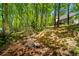 The wooded backyard has space for a fire pit at 2025 Goldmine Dr, Cumming, GA 30040