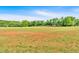 Expansive green lawn with mature trees, perfect for outdoor activities and enjoying the natural surroundings of the property at 3321 Hampreston Nw Way, Kennesaw, GA 30144