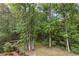 Wooded view from backyard features green space, walking bridge and lush greenery at 101 Fernwood Dr, Woodstock, GA 30188