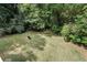 Large backyard with mature trees and lush green grass at 1725 Redbud Way, Cumming, GA 30041