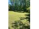 Large grassy backyard, with mature trees providing shade and privacy at 1173 Jimson Se Cir, Conyers, GA 30013