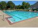 Spacious community pool with lane dividers, lounge seating and a relaxing atmosphere at 850 Cog Hl, Mcdonough, GA 30253