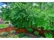 Lush backyard surrounded by trees and a wooden fence, complemented by manicured landscaping and greenery at 973 Duncan Ter, Canton, GA 30115