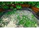 Overhead view of the backyard showcasing the patchy grass and wooden fence, giving the area a private feel at 973 Duncan Ter, Canton, GA 30115