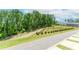 Scenic street view of a wooded lot ready to be built on at 1242 Ainsworth Aly # 40, Sugar Hill, GA 30518