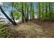 Natural backyard landscape leading to waterfront offers space, with mature trees creating a private retreat at 5122 Cantrell Se Pt, Acworth, GA 30101