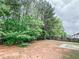Lush, fenced backyard surrounded by mature trees and green foliage at 5584 Dendy Trce, Fairburn, GA 30213