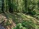 A verdant backyard featuring mature trees and lush greenery at 579 Fielding Ln, Atlanta, GA 30311
