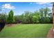 Expansive backyard featuring lush green grass, mature trees, and a privacy fence at 6265 Bellmoore Park Ln, Johns Creek, GA 30097