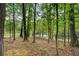 The wooded backyard of this property is a serene escape into nature, featuring a lush, green landscape with a scenic pond at 1062 Meadow Grass Ln, Powder Springs, GA 30127