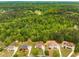 Aerial view of luxurious homes with manicured lawns, surrounded by lush, mature trees and a sprawling, green landscape at 650 Virginia Highlands, Fayetteville, GA 30215