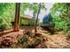 Lush backyard with mature trees, a deck, and a natural creek at 7155 Hartsfield Pl, Suwanee, GA 30024
