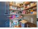 Walk-in pantry with shelves for storage at 168 Constitution Blvd # 12, Lawrenceville, GA 30046